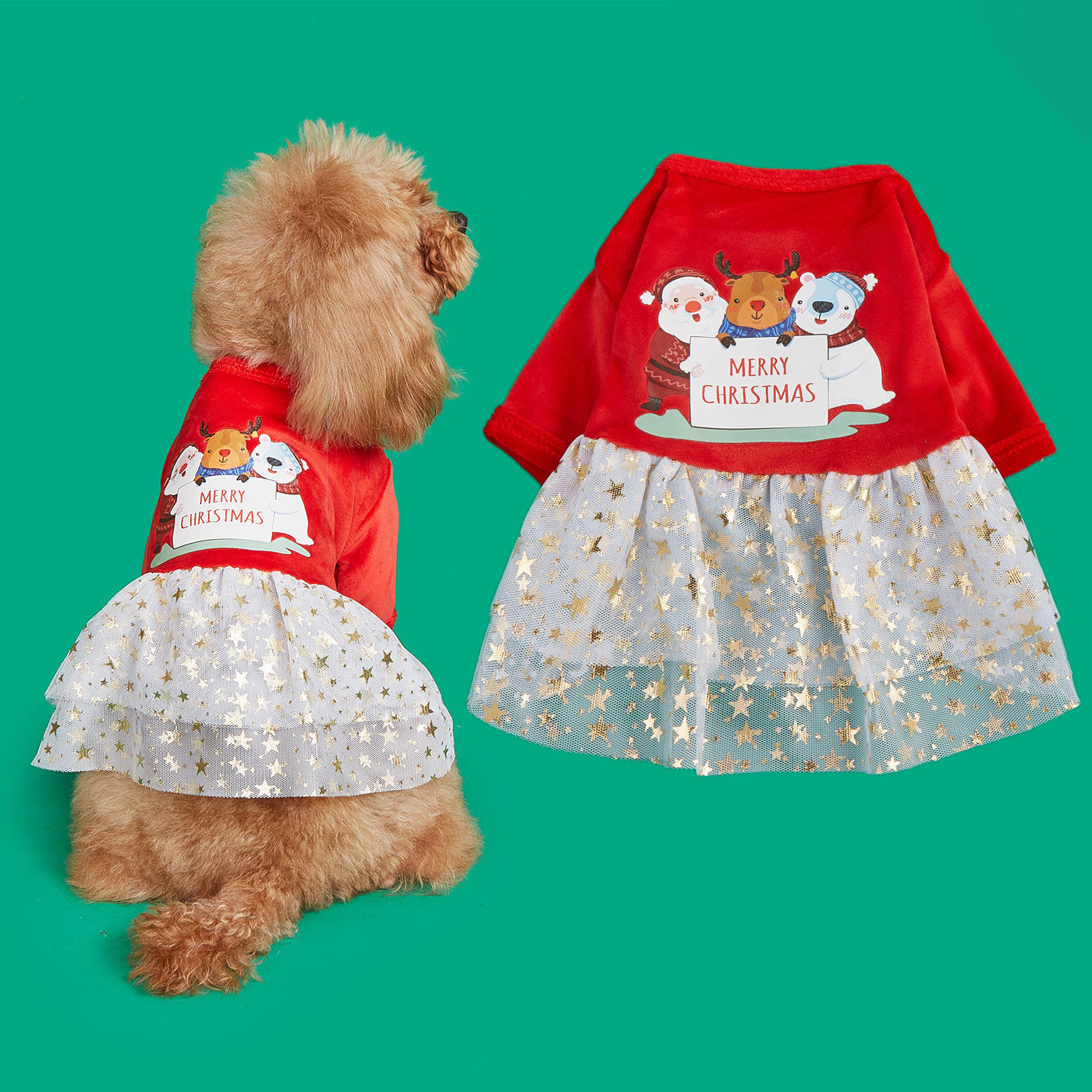 Vêtements pour chiens 3