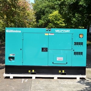 Stille 3-fasen 50KVA 40KW dieselgenerator 50/60Hz, draagbare aggregaat met geluidsisolerende kap - Product Image 2