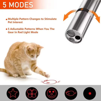Jouet de Pointeur Laser Interactif Rechargeable par USB pour Chats Chiens 5 Modèles Réglables Longue Portée 3 Modes Training Chaser Made Metal