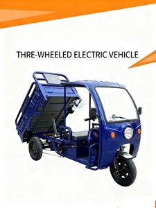 Tricycle électrique confortable à cabine ouverte, véhicule de transport familial quotidien à économie d'énergie - Product Image 5