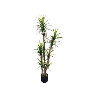 Planta Artificial Verde, Bonsái, Árbol de Sangre de Dragón, 2 m de Altura, Simulación de PET+PVC, Decoración para Interiores y Exteriores, Hogar y Oficina - Product Image 1