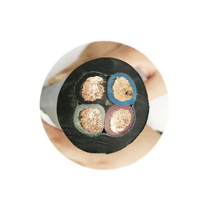 สายไฟฟ้าฉนวนพีวีซีสำหรับหุ้มยางทองแดง1mm-10mm ² - Product Image 5