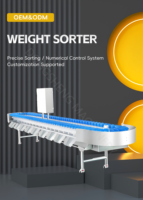 Báscula Multicabezal Industrial para Cintas Transportadoras con Clasificadora de Huevos y Frutas