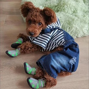 Chaussures en maille respirante classiques pour chiens de petite et moyenne taille, avec motif uni, antidérapantes et résistantes à l'usure - Product Image 3