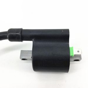 Pour <span class=keywords><strong>Honda</strong></span> EFI Joy Ghost Horse 100 paquet haute tension Youyue Cool 110 petite fusée Kaiying 125 bobine d'allumage - Product Image 4