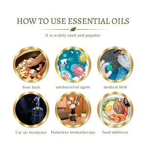 Huile d'origan 100% pure et naturelle en gros pour additif alimentaire et cosmétique, riche en carvacrol et en thymol - Product Image 5