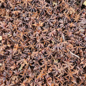 โป๊ยกั๊กแบบพรีเมี่ยมทั้งดาวจากเวียดนามสินค้าออร์แกนิกแห้งสินค้าขายดี hanfimex - Product Image 5