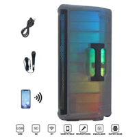 Boîtier de haut-parleur portable entièrement transparent 1500W 15 pouces, système de son audio professionnel DJ, système de haut-parleurs karaoké/PA BoChina