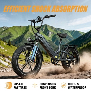 Vélo électrique cargo à cadre basse, pneus larges CST 20x4.0, 250 W, 48 V, batterie 18 Ah, freins hydrauliques Zoom, 7 vitesses - Product Image 3