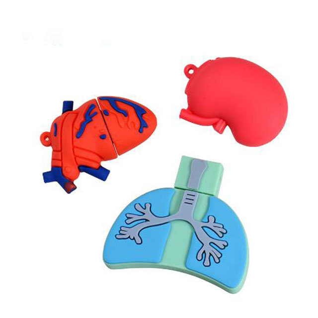 Cartoon Viscera Heart Lung Liver USB Flash Drive 2.0 4GB 2GB 1GB Cardiac USB Memory Stick Human Organ Stomach Pen Drive