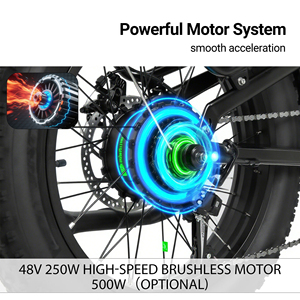 Vélo de montagne électrique GALAXY 500W 48V, 20 pouces, frein à disque hydraulique, 9 vitesses, vélo de montagne électrique en alliage pour hommes - Product Image 2