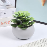 Planta Suculenta Artificial de 9x10.5cm, Ecológica, de Alta Simulación, en Maceta Blanca de Plástico Verde, Decoración de Escritorio para Interiores y Exteriores