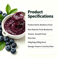 Lotlong Premium Natuurlijke Levendige Paarse Op Maat Gemaakte Productie Fabriek Zoete & Pittige Blauwe Bessenpuree voor Fruitthee Smoothie Bereiding