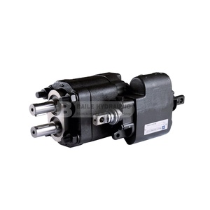 Паркер Hannifin <span class=keywords><strong>C102</strong></span> <span class=keywords><strong>C101</strong></span> <span class=keywords><strong>G101</strong></span> <span class=keywords><strong>G102</strong></span> серии комбинированный шестеренный насос - Product Image 1