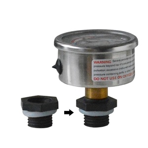 Accessori per Serbatoi di Sabbia in Plastica EMAUX: Guarnizione a Fiore di Prugna, Manometro, Maniglia, Connettore Flessibile per Piscine Private - Product Image 6