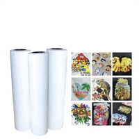 Film de transfert plastique double face durable HyperTransprint pour imprimante DTF, pelage à chaud instantané, idéal pour vêtements – Vente en gros fabricant