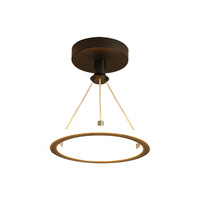 Lampes LED en acrylique pour salon, couloir, entrée, style moderne simple, lampes de plafond rondes pour balcon