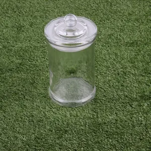 玻璃饼干糖果便士罐，带玻璃盖老式透明圆形存储容器
