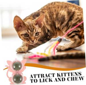 Plantes d'intérieur Jouets pour chats Puzzles pour chats Lécher les murs Herbe à chat - Product Image 5