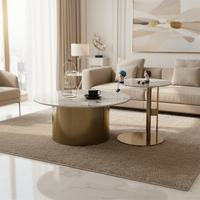 Table basse de luxe moderne et créative avec plateau en pierre, design simple, dorée, en métal durable, facile à nettoyer, meuble de rangement pour la maison