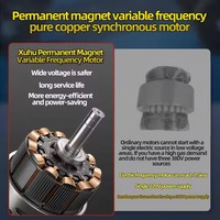 Compresseur d'air à vis miniature portable monté sur réservoir, rotatif, 3 kW, 10 bars, monophasé, à fréquence variable, 220 V, avec moteur