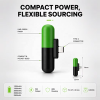 Chargeur de batterie externe portable haute capacité à charge rapide Type-C 18650 au lithium avec prise