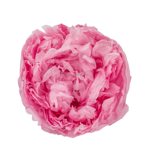 Peonías Naturales Reales <span class=keywords><strong>Preservadas</strong></span> al por Mayor en Caja, Rosa Preservada, Flor de Peonía - Product Image 1