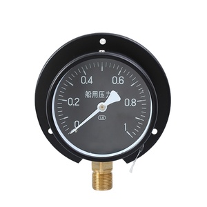 ราคาโรงงาน -0.1-100MPa เกจวัดแก๊สแบบดิจิตอล วัสดุสแตนเลสเรืองแสง รองรับแรงดันสูงสุด 60MPa - Product Image 2