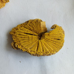 Fibraurea <span class=keywords><strong>Recisa</strong></span> Natural Cruda, Raíz de Fibraurea <span class=keywords><strong>Recisa</strong></span> Seca para Hierbas - Product Image 3