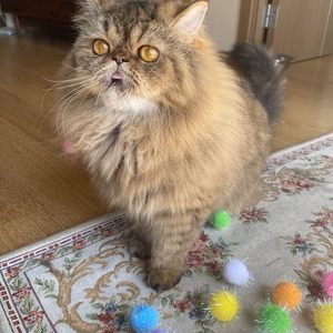 RIMOBUL 20 pièces, boules en pompon scintillantes de 1,5 pouce, jouets ronds et doux pour chat, utilisation en intérieur, vente chaude - Product Image 4