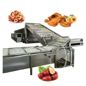 Full vegetable and dragon fruit prune raisin plum betel nut pepper cleaning slicing and drying dryer machine processing line