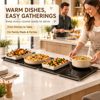 Plateau chauffant électrique modulaire pour aliments, planche isolante, planche chauffante pour plats, planche de maintien au chaud, accessoire pour la maison