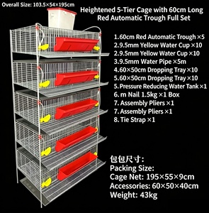 Nouvelle cage en treillis métallique galvanisé de type H avec système d'alimentation et d'abreuvement pour oiseaux (cailles) – Capacité 5 et 6 niveaux - Product Image 3