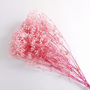 Gypsophila Bouquet Preserved Baby'<span class=keywords><strong>s</strong></span> Breath Flowers Flores secas multicolores Baby <span class=keywords><strong>s</strong></span> Breathe para boda y decoración de fiesta en casa - Product Image 3