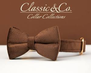 Ensemble collier, nœud papillon et laisse personnalisés Chocolate Veet avec boucle métallique gravée sur mesure, cadeau d'anniversaire pour chiot gratuit - Product Image 4