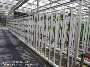 Système de culture vertical hydroponique NFT Grow Zip Channel, systèmes de culture en <span class=keywords><strong>tour</strong></span> à fermeture éclair, systèmes à double et simple fermeture éclair pour les légumes - Product Image 1