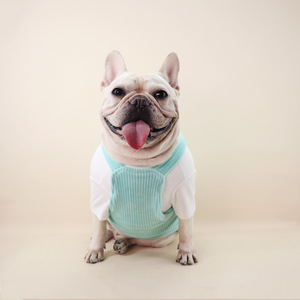Robe de princesse pour chien, style frais, automne-hiver, confortable, pour petits chiens - Product Image 2