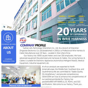 Cablaggio Elettronico Industriale da Fabbrica di Shenzhen, Cavi 24 26 32 AWG, Passo 1.0 1.25 1.5 <span class=keywords><strong>2</strong></span>.0 <span class=keywords><strong>2</strong></span>.54mm - Product Image 5