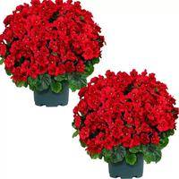 Huaien – Approvisionnement direct usine : Arrangements décoratifs en pot de fleurs artificielles en soie (roses, bonsaïs, fausses fleurs) en forme d'os pour la décoration intérieure