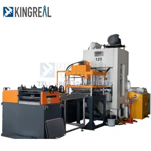 High Speed Aluminum Ceiling Perforated Punching Machine Steel Punching Machine Automatic Hole Punch Machine 125Ton Metal Sheet