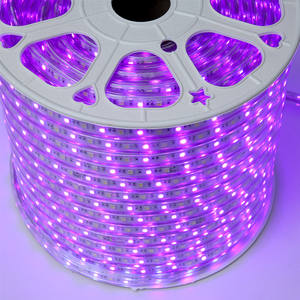 10มิลลิเมตรนำแสงเชือก220โวลต์นำเชือกเติบโตแสงใต้น้ำ Smd <span class=keywords><strong>5050</strong></span>กันน้ำนำแถบ - Product Image 4