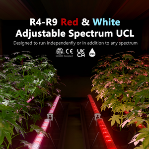 150 wát <span class=keywords><strong>LED</strong></span> phát triển đèn cho Nhà máy trong nhà phát triển R4-R9 có thể điều chỉnh spectru IP65 cho dưới tán <span class=keywords><strong>LED</strong></span> - Product Image 2