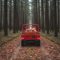 Nouvelle arrivée, voiture électrique Rainbow Moke 4 places, châssis tout aluminium, certifiée EEC/DOT, autonomie de 90 km, vitesse de 70 km/h