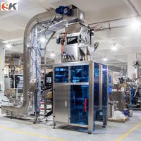 Automatische verticale verpakkingsmachine voor ijsblokjes 1kg-10kg vullen, wegen, sealen en verpakken