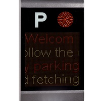 Sistema di Gestione e Guida Automatizzata per Parcheggi Esterni con Software Made in China, Prezzo di Fabbrica, Telecamera IP LPR