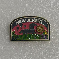 Pins de revers personnalisés en alliage de zinc avec logo du club Pathfinder, pour les jeunes aventuriers et les Camporees Adventistes, émail souple ou dur, vente en gros