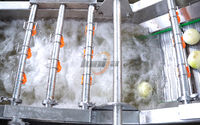 Industriële gemotoriseerde wasmachine voor fruit, groenten, yam, rambutan, citroenzaden, 2000 kg/uur, SUS304 roestvrij staal, bubbelwassing