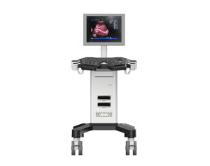 Système d'échographie diagnostique numérique complet noir et blanc sur chariot, conçu pour les animaux de compagnie, Dawei DW-350 - Product Image 5