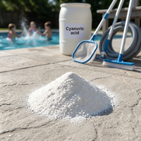 CYA20260920E Approvisionnement en acide cyanurique pour les développeurs de produits d'entretien de piscines