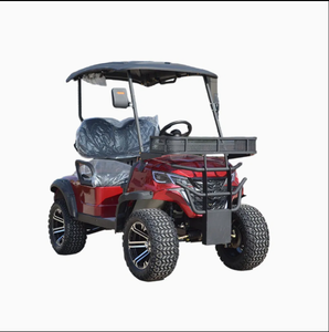 Carrito de Golf Eléctrico Eficiente y Personalizable con Diseño de Lujo de 2 Asientos, Batería de Litio, 4 Ruedas y Capacidad de Carga de 300 kg - Product Image 6